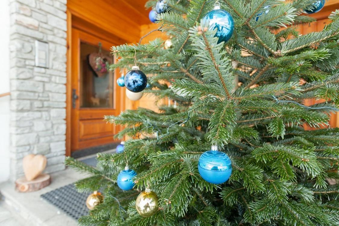 Holiday Im Gaestehaus Warter In Altenmarkt アルテンマルクト・イム・ポンガウ エクステリア 写真