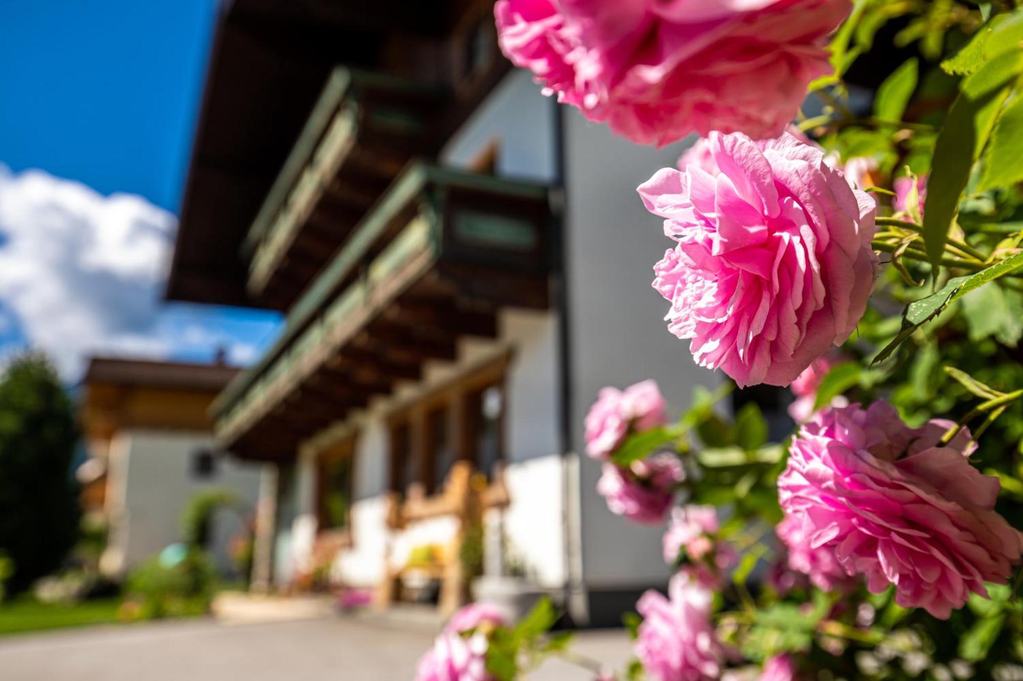 Holiday Im Gaestehaus Warter In Altenmarkt アルテンマルクト・イム・ポンガウ エクステリア 写真