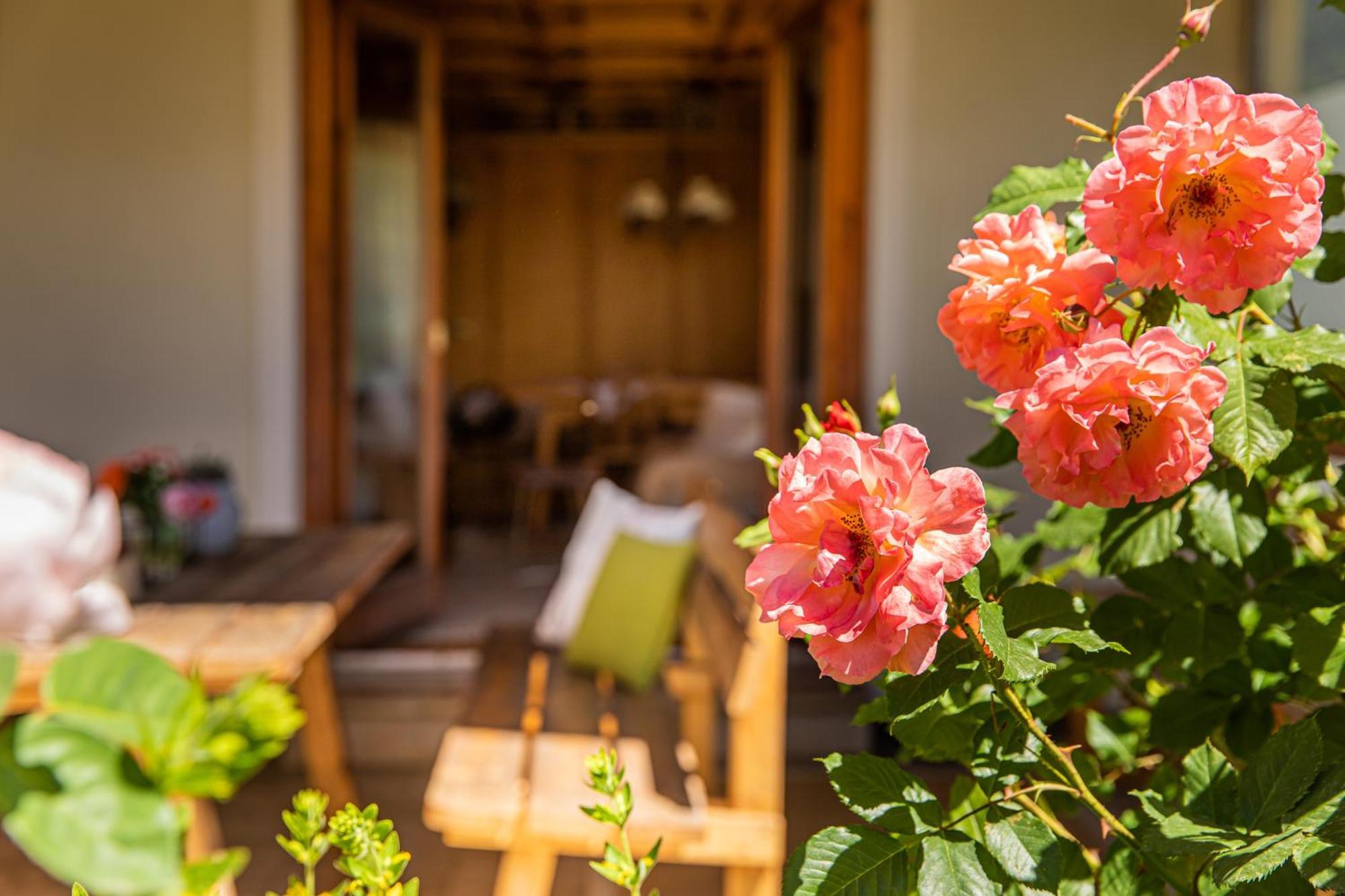 Holiday Im Gaestehaus Warter In Altenmarkt アルテンマルクト・イム・ポンガウ エクステリア 写真
