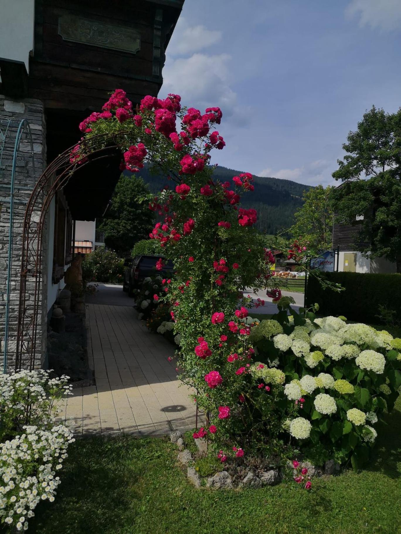 Holiday Im Gaestehaus Warter In Altenmarkt アルテンマルクト・イム・ポンガウ エクステリア 写真